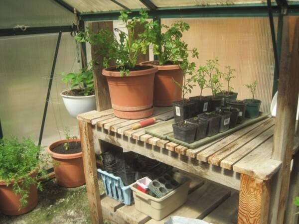 DIY Potting Bench in greenhouse