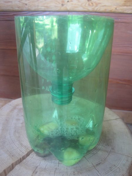 A Simple Fly Trap to catch pesky insects