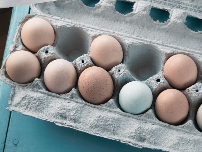 A egg carton with only eight eggs