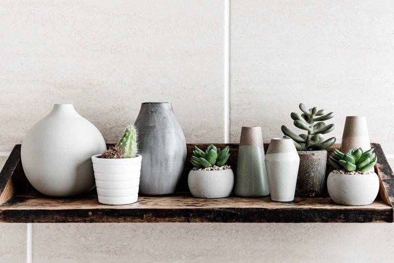 still life of neutral color pots and vases with green catcus and jade plants