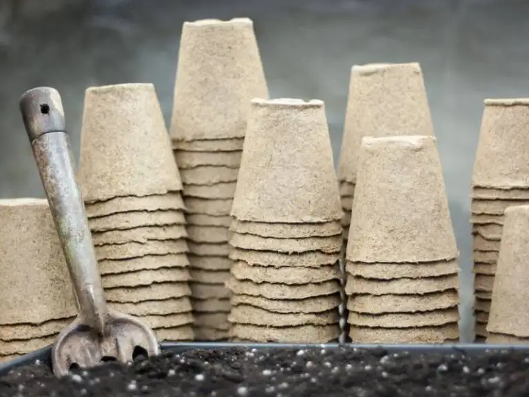stacks of little peat pots are perfect for starting seeds