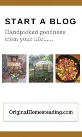 wooden bear, greenhouse and roasted vegetables