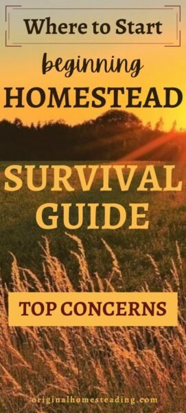Top 7 Homestead Survival Tips for Beginners promo image