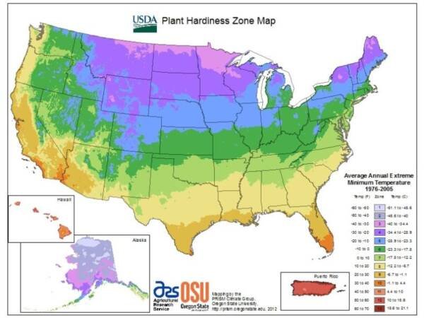 USDA Growing Zone Map