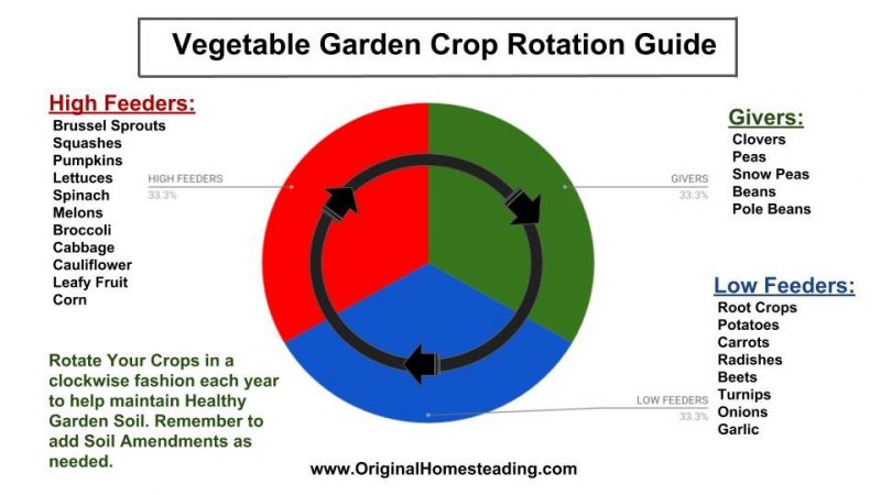 Simple Crop Rotation Chart