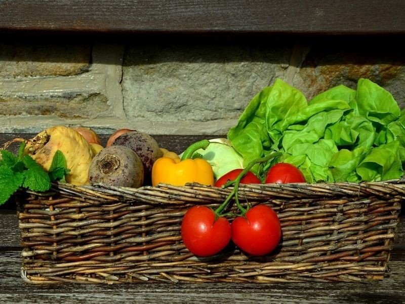 A collection of vegetables