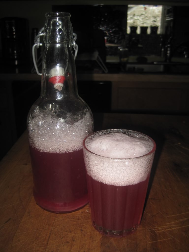 Water kefir soda fermenting in a glass bottle and ready to drink.