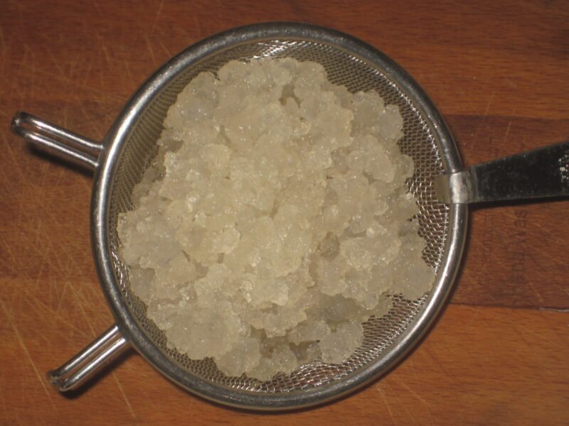 Fresh kefir grains in a metal strainer for homemade probiotic drinks.