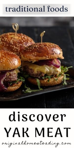 Yak Meat: Delicious Healthy Alternative to Beef promo image