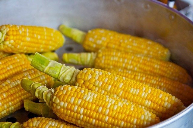Yellow and White Corn