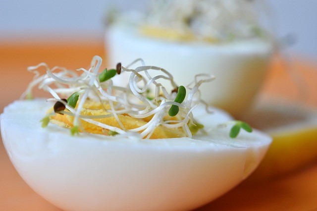 alfalfa sprouts on a half of a hard boiled egg