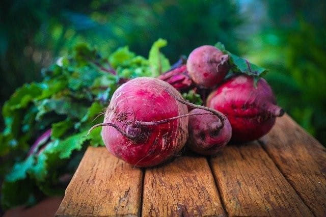 freshly harvested garden beets