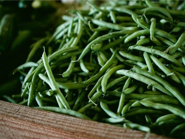 green beans are part of a sustainable garden