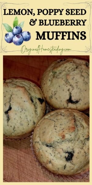 lemon blueberry and poppy seed muffin recipe pinterest pin