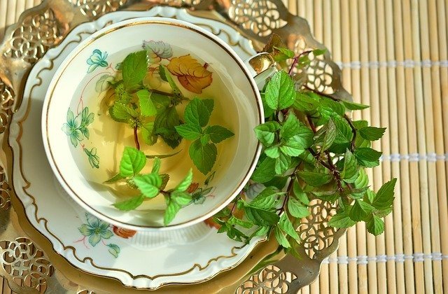 fresh peppermint sprig in cup of hot tea