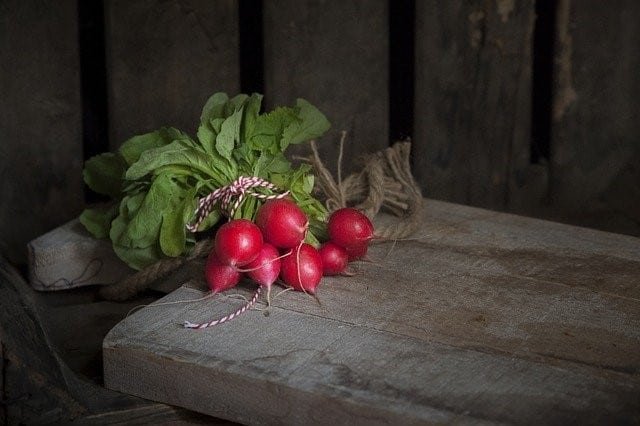 garden fresh radishes which are one of the fastest growing vegetables
